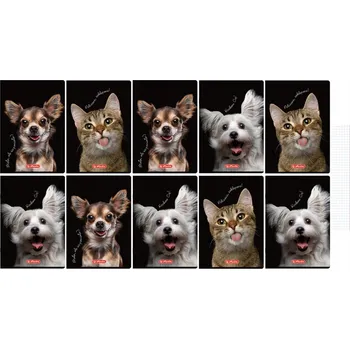 Sešit Sešit A4 čtvereček s okrajem 60k kočka pes Crazy Animal mix 1ks Herlitz