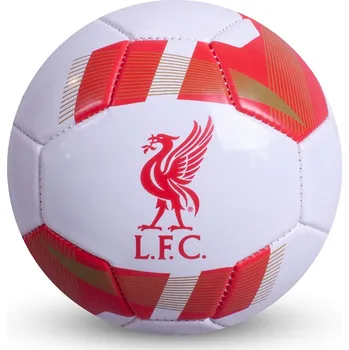 FC Liverpool Team Liverpool 4813756 Size 1