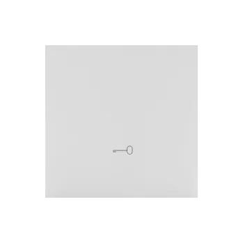 vypínač Kryt s piktogramem “klíč”, 1 násobný, pro přístroje spínačů a tlačítek, Simon 55 TKWK1/114, šedá světlá