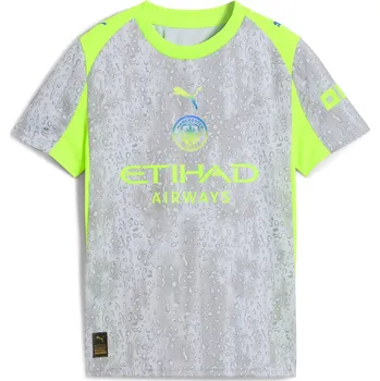 Manchester City Puma Grey 1779059 13 (XL)
