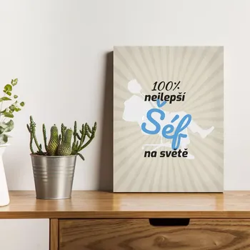 Plechová cedule Sablio Dárková cedulka 100% nejlepší šéf na světě: 30x40 cm