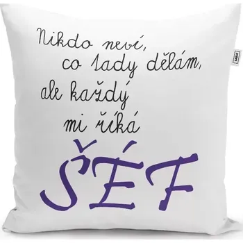 Polštář Sablio Polštář Nikdo neví, co tady dělám, ale každý mi říká šéf: 40x40 cm