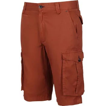 Pánské kraťasy Kraťasy Regatta Baked Clay 6022266 34