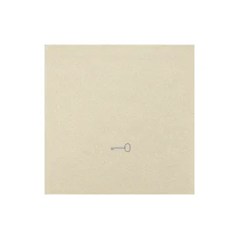 vypínač Kryt s piktogramem “klíč”, 1 násobný, pro přístroje spínačů a, Simon 55 TKWK1/144, champagne metalizovaná