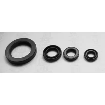 Těsnění motoru TOURMAX sada gufer motoru YAMAHA XV 500SE, XV535 90-03 vyrobeno v Japonsku (TOURMAX sada gufer motoru YAMAHA XV 500SE, XV535 90-03 vyrobeno v Japonsku)