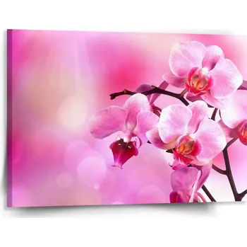 Obraz Sablio Obraz Květy orchideje - 150x110 cm