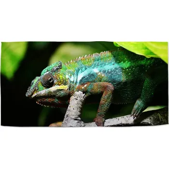 Osuška Sablio Ručník Chameleon - 30x50 cm