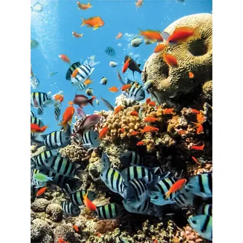 Fototapeta Fototapeta RYBY RYBIČKY OCEAN MOŘE DĚTSKÝ MOTIV 184x254