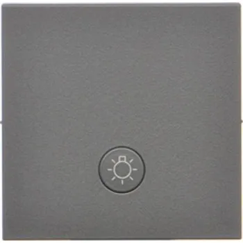 vypínač Kryt s piktogramem “světlo”, k přístrojům SP1M s podsvětlením, Simon 55 TKWS1L/116, grafitová