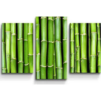 Obraz Sablio Obraz - 3-dílný Bambus - 75x50 cm