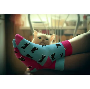 Dámské oblečení 4LCK Dámské Ponožky s kočkami EU 35-38