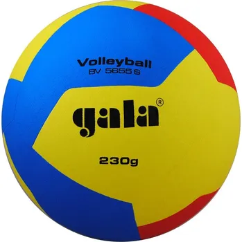 Volejbal Volejbalový míč Gala Volleyball 12 BV 5655 S - 230g
