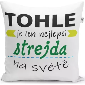 Polštář Sablio Polštář Tohle je ten nejlepší strejda na světě: 40x40 cm