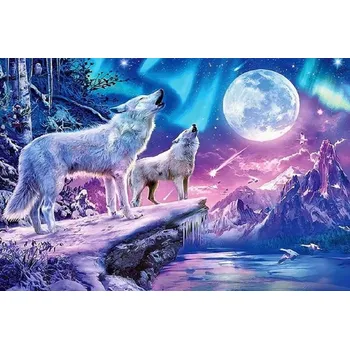 Obraz Diamantová mozaika Dva vlci na pozadí Plná 30x40 cm Kreativní diamanty