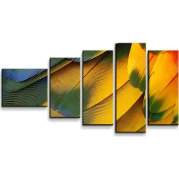 Obraz Sablio Obraz - 5-dílný Barevné peří - 100x60 cm