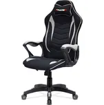 Autronic Herní a kancelářské křeslo E-racer KA-G408 Barva potahu: Černá/stříbrná