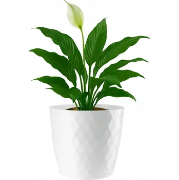 Květináč Květináč plast bílý Galicja 12 cm x 12 x 11 cm