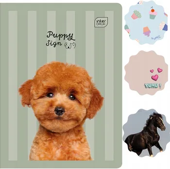 Sešit Sešit A5 s linkami (trojlinkový) Interdruk, 32 listů