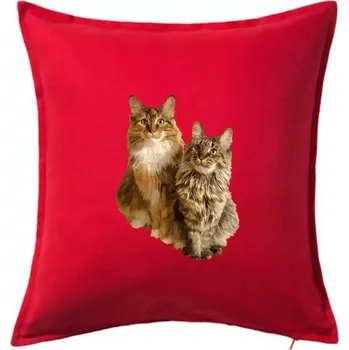 Polštář Kočky vectorizované (Moňas) - Polštář 50x50 - 50x50 - Pouze potah ( Červená )