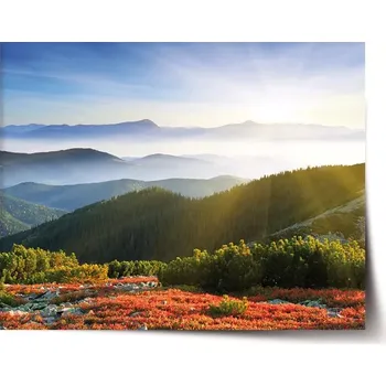 Plakát Sablio Plakát Příroda - 60x40 cm