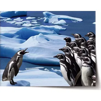 Plakát Sablio Plakát Tučňáci - 60x40 cm