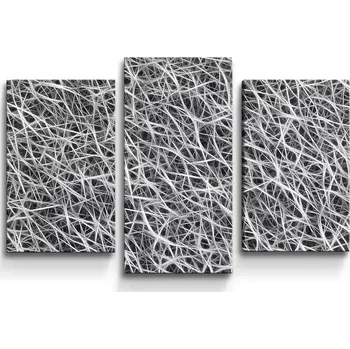 Obraz Sablio Obraz - 3-dílný Bílá vlákna - 75x50 cm