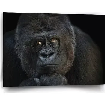 Obraz Sablio Obraz Gorila - 60x40 cm