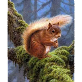 Obraz Diamantová mozaika Veverka na větvi v lese 30x40 cm Kreativní diamanty