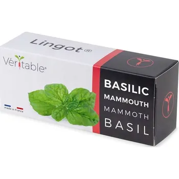 Véritable Lingot Bazalka mamutí (VLIN-O10-Bas058)