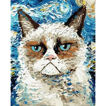 Malování podle čísel iPicasso 40x50 cm na rámu