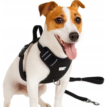 Postroj pro psa Postroj pro psa velikosti S BlackRhino, nastavitelný, reflexní