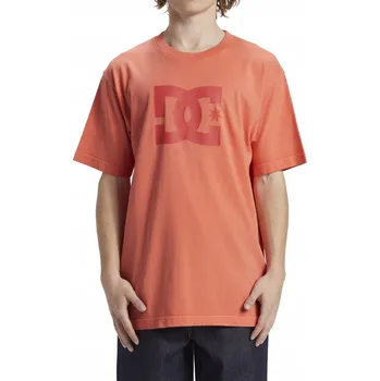 Pánské bavlněné sportovní tričko DC Shoes Star velikosti XL