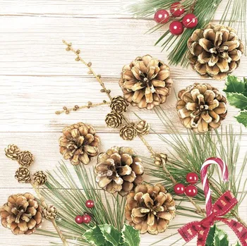 Papírový kapesník Pol-Mak Ubrousky DAISY L (20ks) Pines and Larch Twig 602929