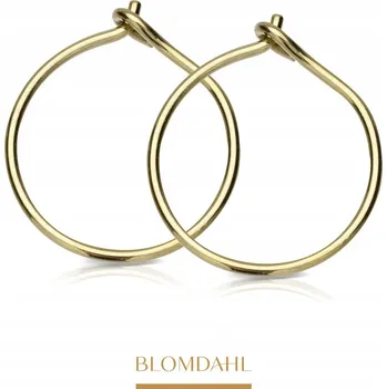 Náušnice BLOMDAHL NÁUŠNICE HYPOALERGENNÍ Náušnice 14 mm