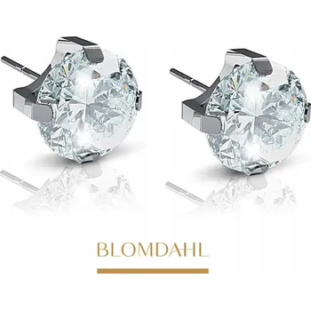 Náušnice NÁUŠNICE HYPOALERGENNÍ STŘÍBRNÝ TITAN BLOMDAHL 4mm