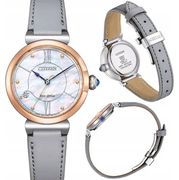 Hodinky Hodinky Citizen EM1074-15D