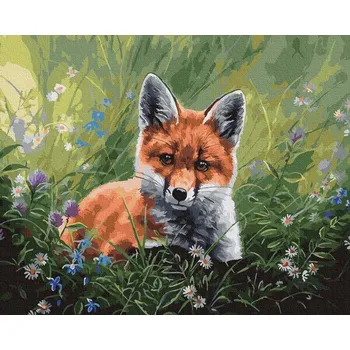 Malování podle čísel iPicasso 40x50 cm na rámu