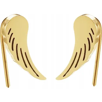 Náušnice NÁUŠNICE s křídly, pozlacená nerezová OCEL