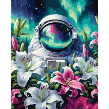 Malování podle čísel iPicasso 40x50 cm na rámu