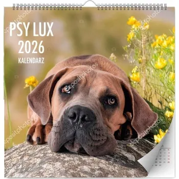 Kalendář Nástěnný Kalendář Psi LUX 2026 Velký Měsíční Plánovač