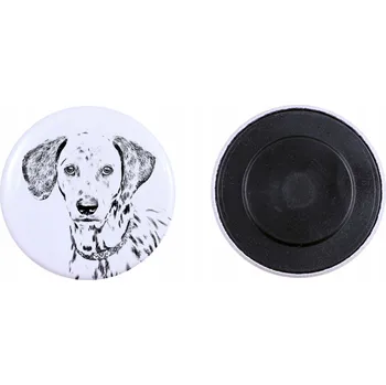 Obraz Dalmatin , dalmatinský ohař - magnet se psím mazlíčkem, výjimečně lehký,