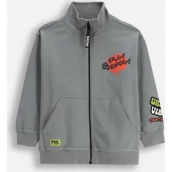 Chlapecká mikina Dětská Mikina Rozepínací Chlapecká Šedá se Stojáčkem Velikost 098 Coccodrillo ZC5