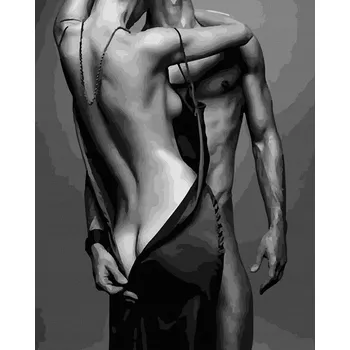 Malování podle čísel iPicasso 40x50 cm na rámu