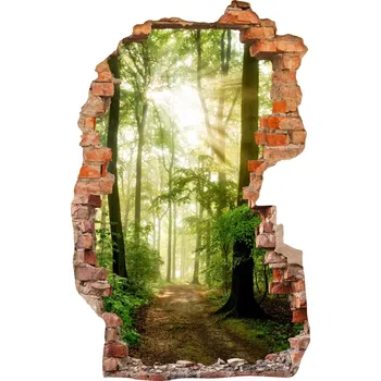 Fototapeta Nálepky na zeď fototapeta 3D díra 709 Příroda