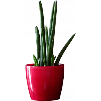 Květináč Květináč na květináč Červený lesk Ø15,5 cm Kulatý plast