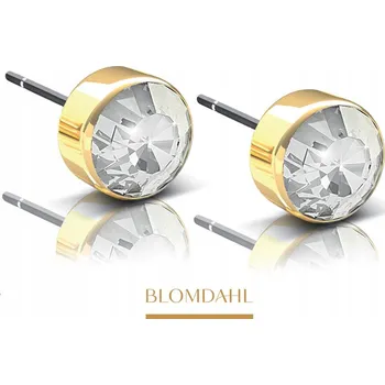Náušnice BLOMDAHL HIPOALERGENNÍ NÁUŠNICE BEZEL CRYSTAL 6 mm