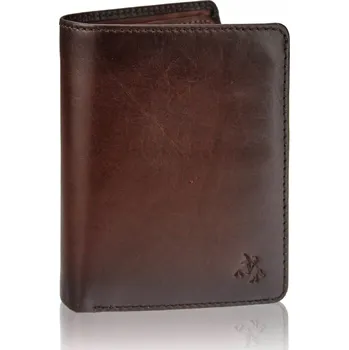 Peněženka Visconti Pánská kožená peněženka Torino AT-62 Hnědá