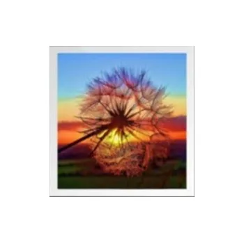 Obraz Diamantová výšivka mozaika sada 5D pampeliška vysoká kvalita provedení