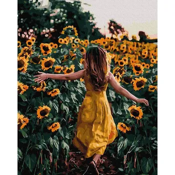 Obraz Malování podle čísel iPicasso 40x50 cm na rámu