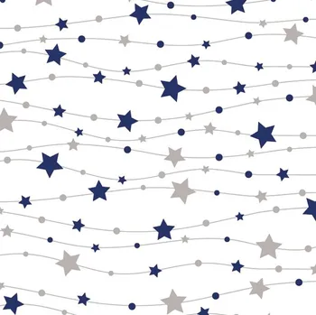 Pol-Mak Ubrousky DAISY L (20ks) Little Stars Navy and Silver 602930